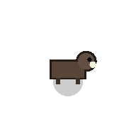 Boar