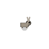 Hare