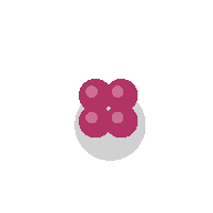 Berries