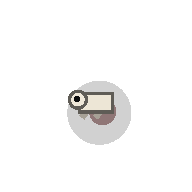 Chicken corpse
