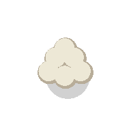 Wool