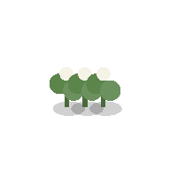 Cotton plant