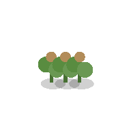 Potato plant