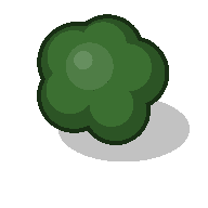 Oak tree